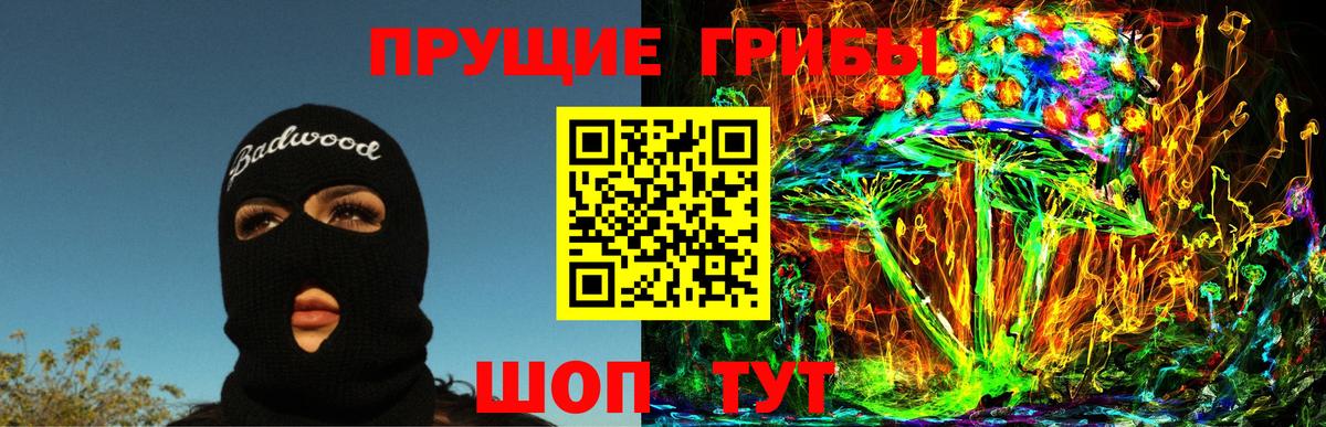 Галлюциногенные грибы Cubensis Канаш